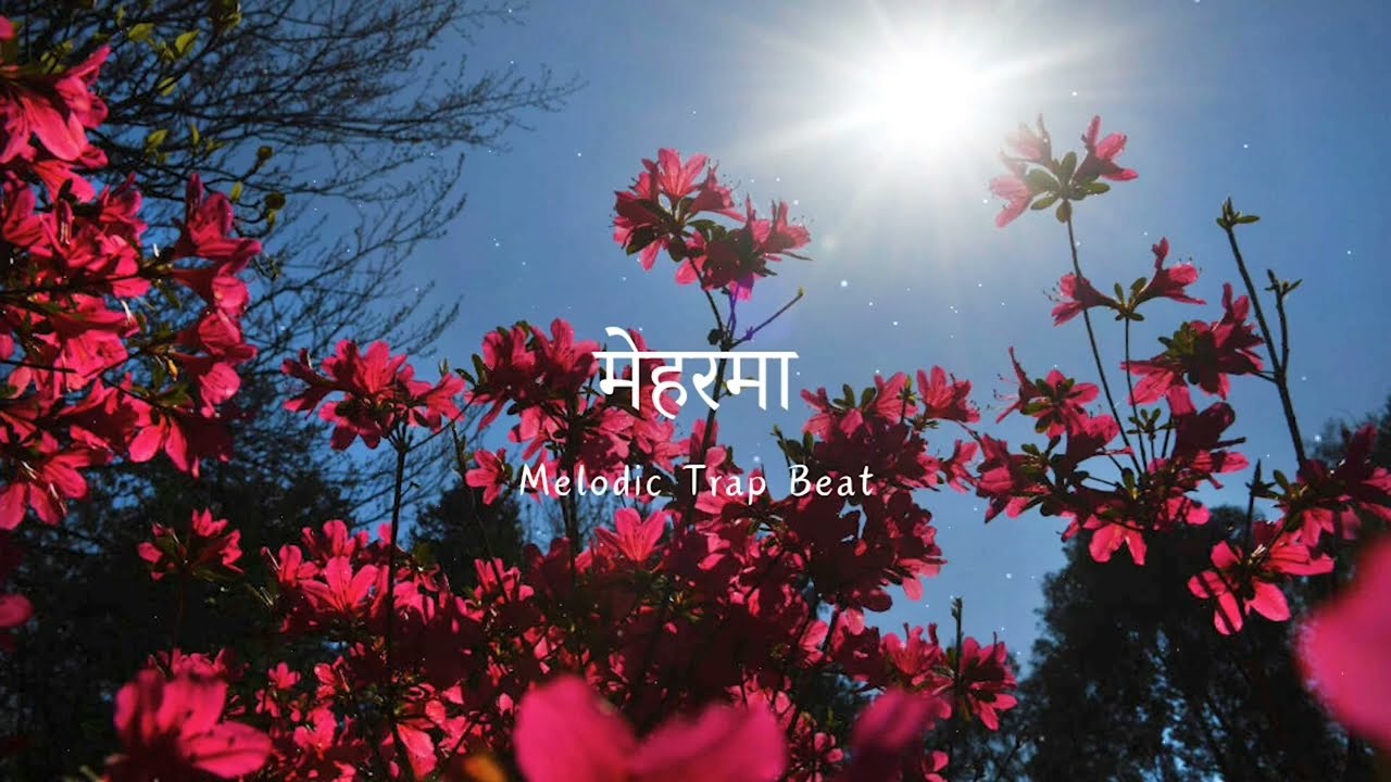 Melodic Ambient Trap Beat | Acoustic Guitar | Sweet Bass Love Type Hip Hop Beat