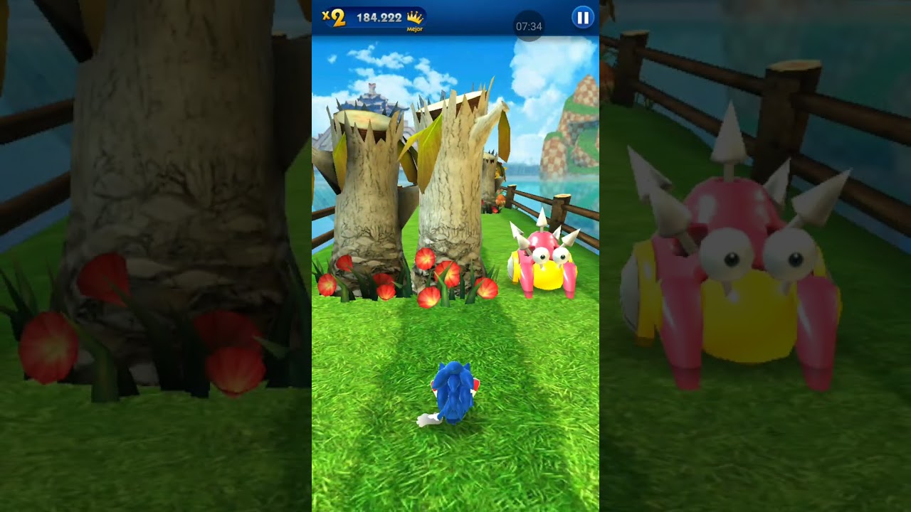 Sonic dash