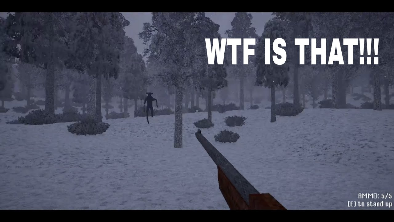 Something is very wrong with this forest!!!