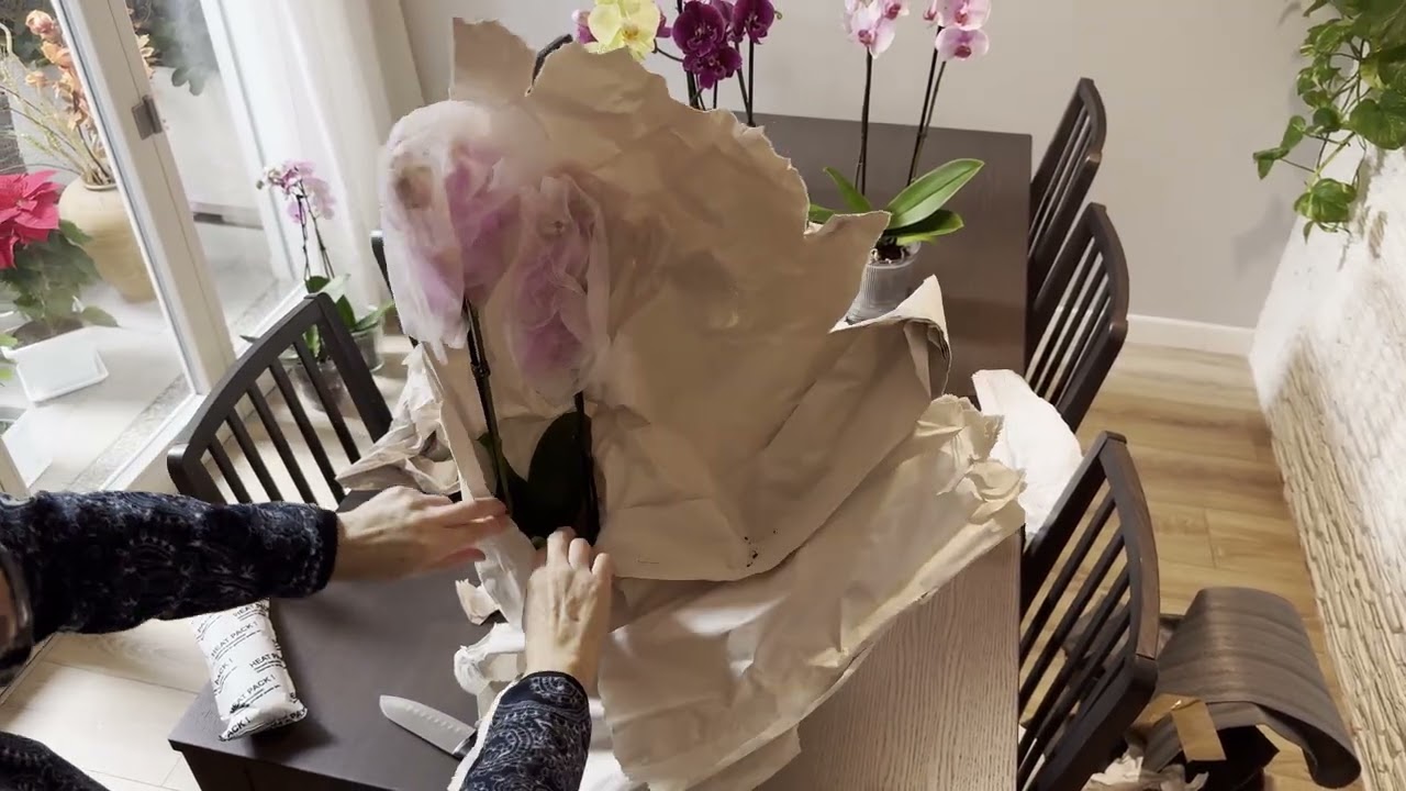 Caja de la Felicidad  San Valentín 