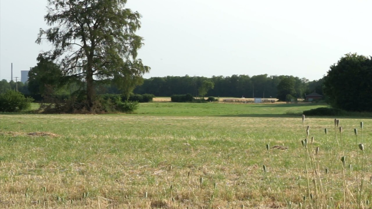 Zeelink Sternweg Ost