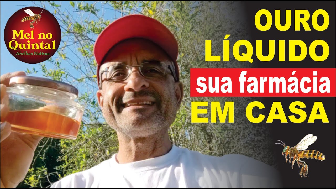 BOR&Aacute;, uma f&aacute;brica de MEL e SA&Uacute;DE!
