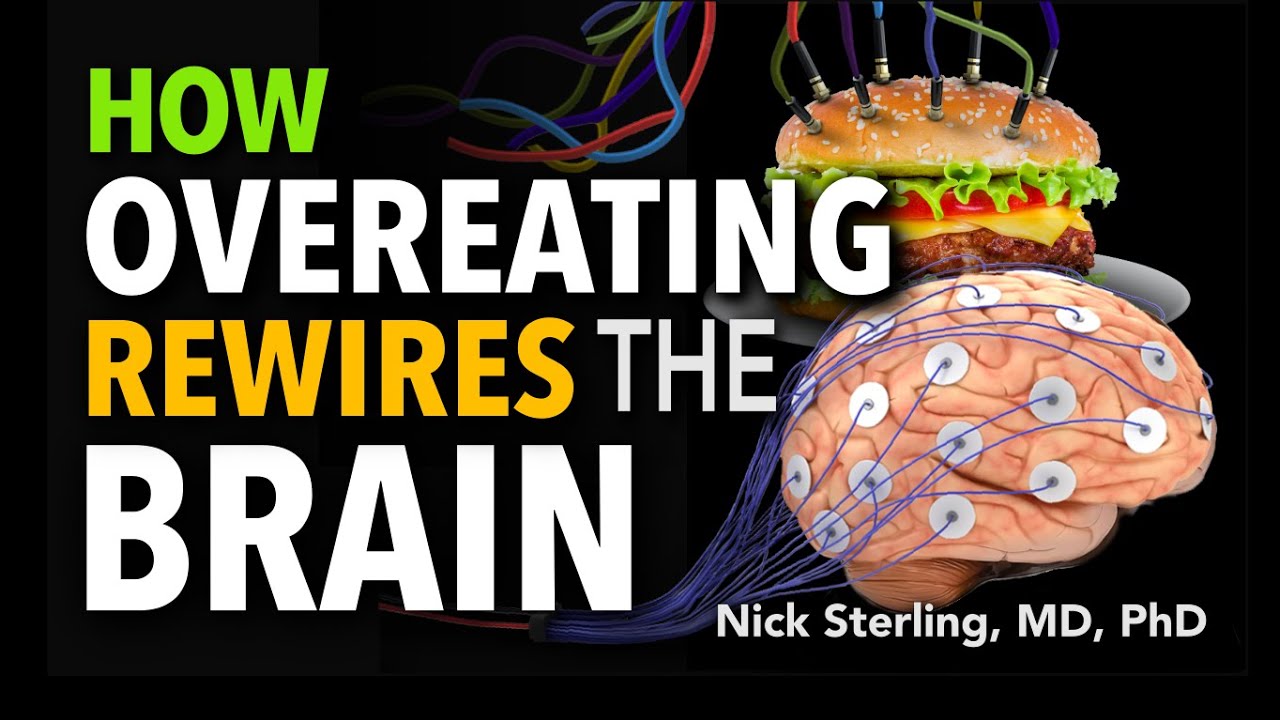 How Overeating Rewires Our Brains – Neuroscience of Weight Gain & Loss | Nick Sterling, MD, PhD #4