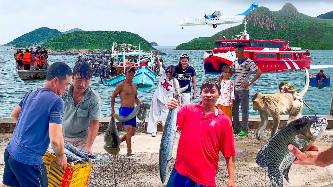 Huyện Đảo Xa Nhất Bà Rịa Vũng Tàu║Nơi Có Nhiều Hải Sản Ngon Quý Hiếm Nhất