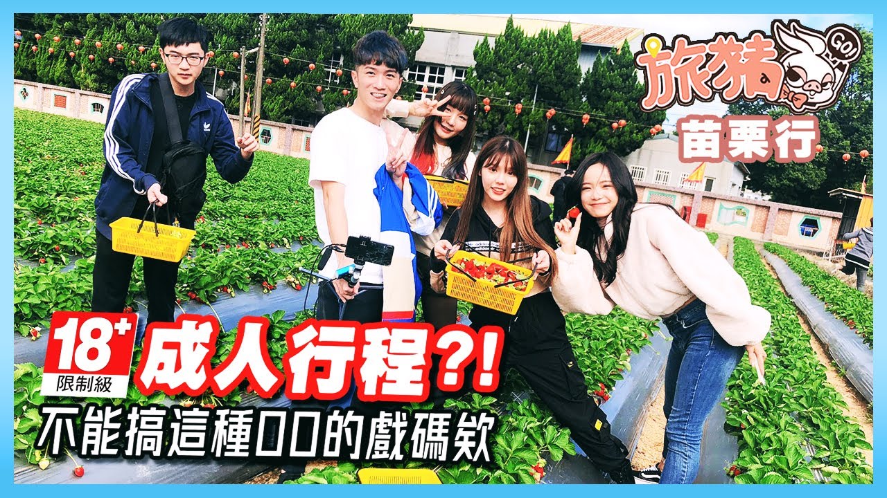 去年撞車賠幾千，今年還是撞個賠兩萬五⋯相隔一年依舊禍不單行啊！Ft.超負荷、咪咪蛋、愷蒂喵、阿法【肉乙_Zoe】旅豬精華