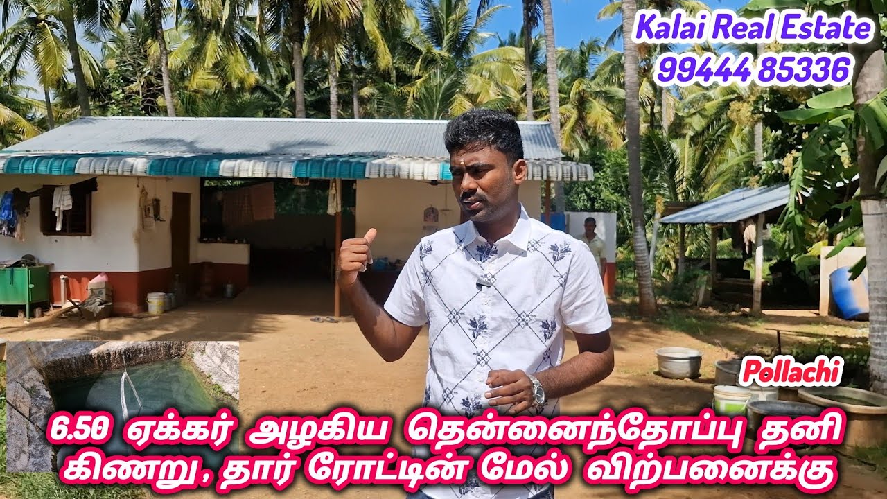 6.50  ஏக்கர் அழகிய தென்னை தோப்பு தனி கிணறுடன் விற்பனைக்கு | #pollachi #agrilandforsale |99444 85336