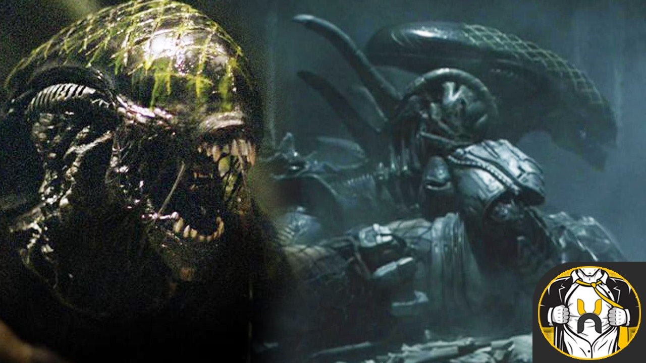 Alien vs Predator: Grid Alien Scenes You Never Saw