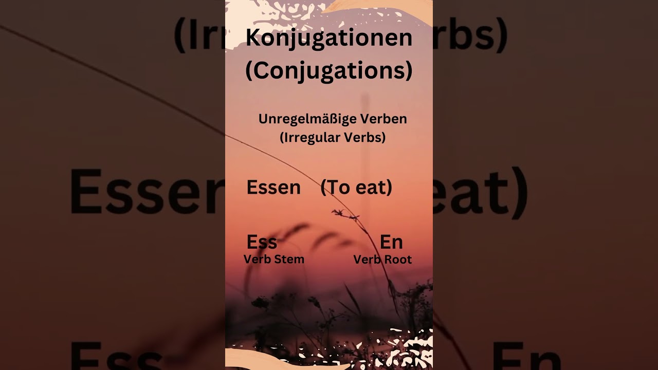 Conjugations (Konjugationen) | Learn german in Hindi #learngermaninhindi #viral #Germanseekho #germn