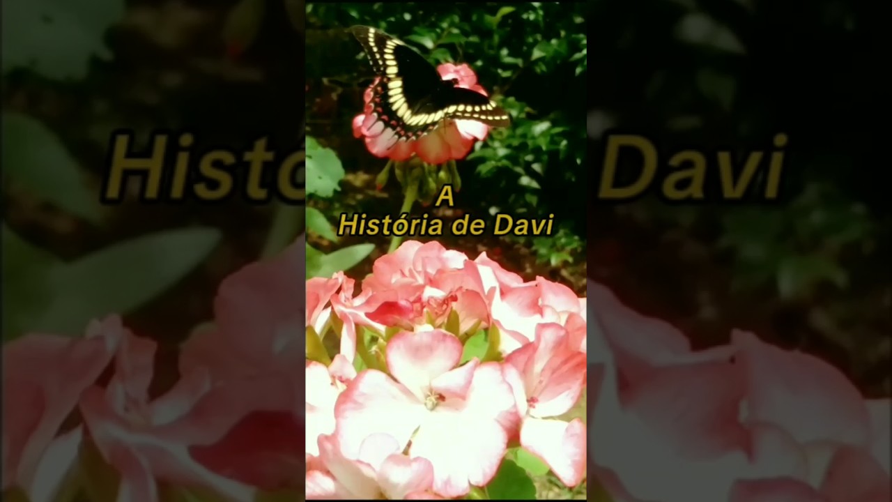 A Hist&oacute;ria de Davi. #toncarfi #mensagensevangelicas #louvores #historiadevida