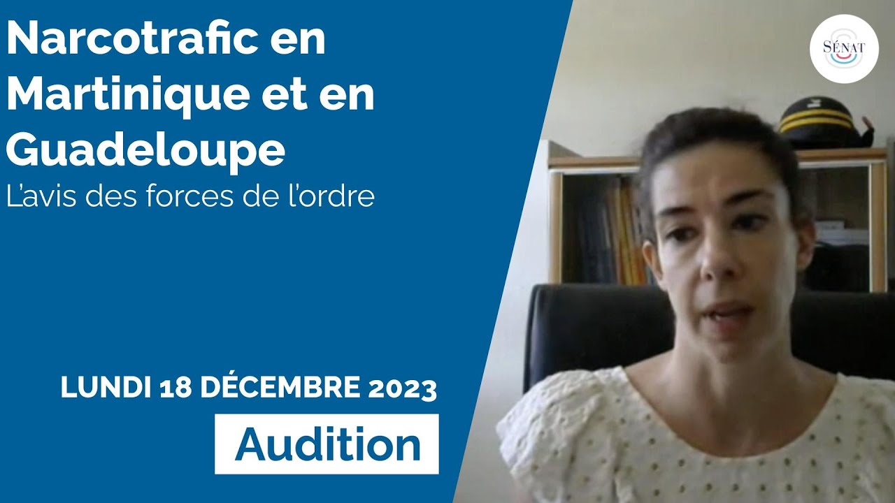 Narcotrafic en Martinique et en Guadeloupe : l’avis des forces de l'ordre