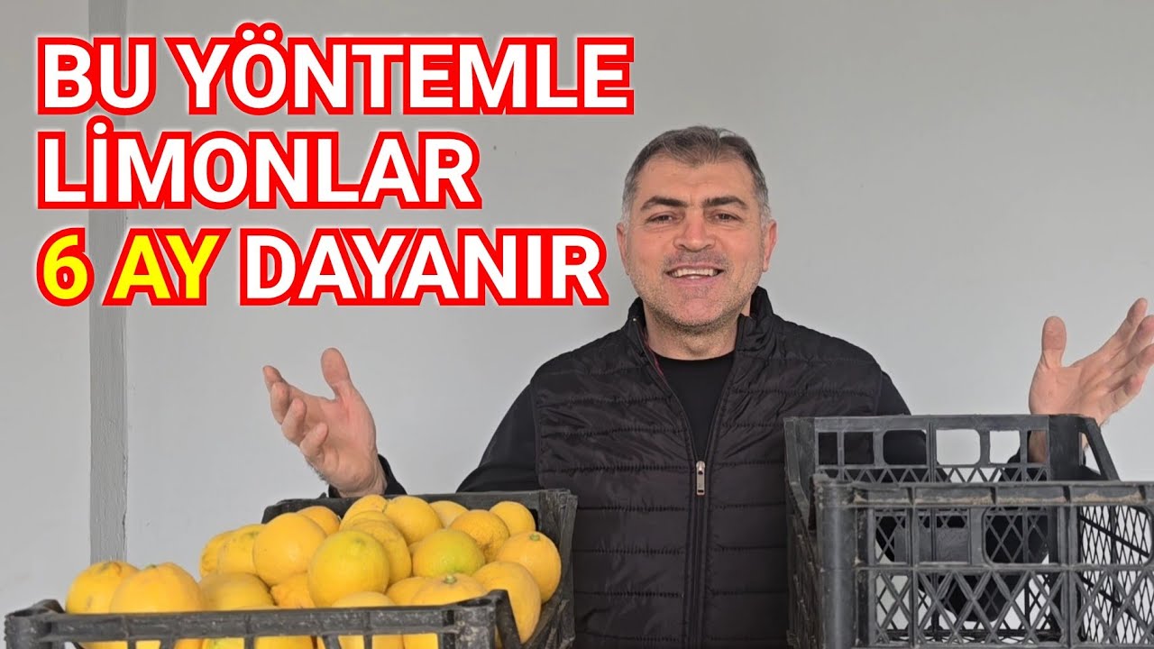 Bu Yöntemle Limonlar 6 Ay Dayanır