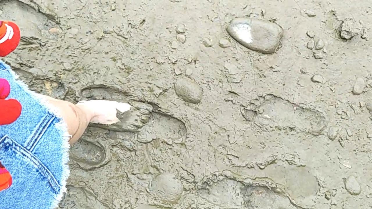 Uyu walked barefoot on a muddy road mixed with duck farm waste