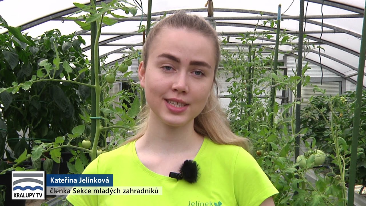 Kralupy TV: Zahrádkář: ochrana rostlin před plísněmi (31.7. 2021)