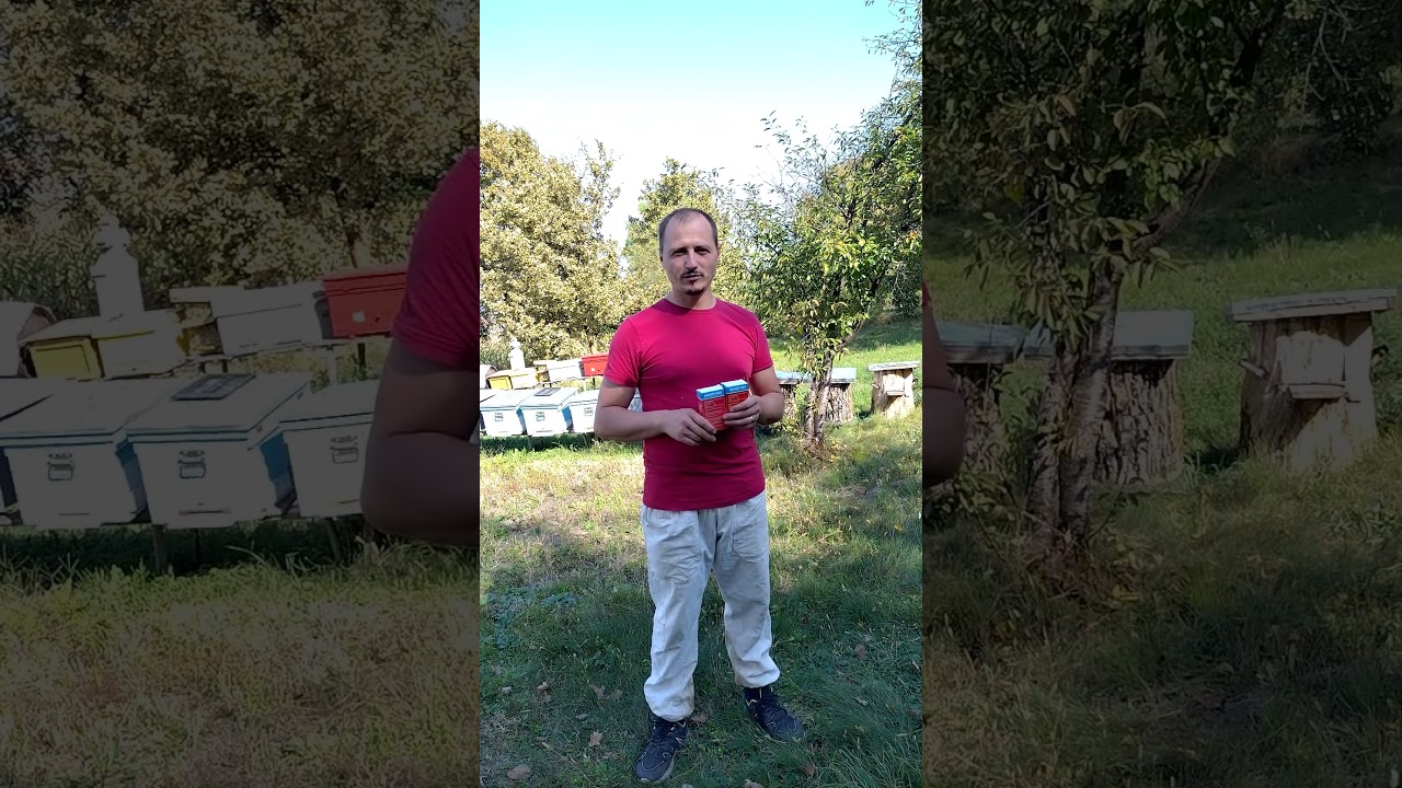La ce ORA FACEM TRATAMENTUL CU VARACHET ⁉️🐝🐝🐝