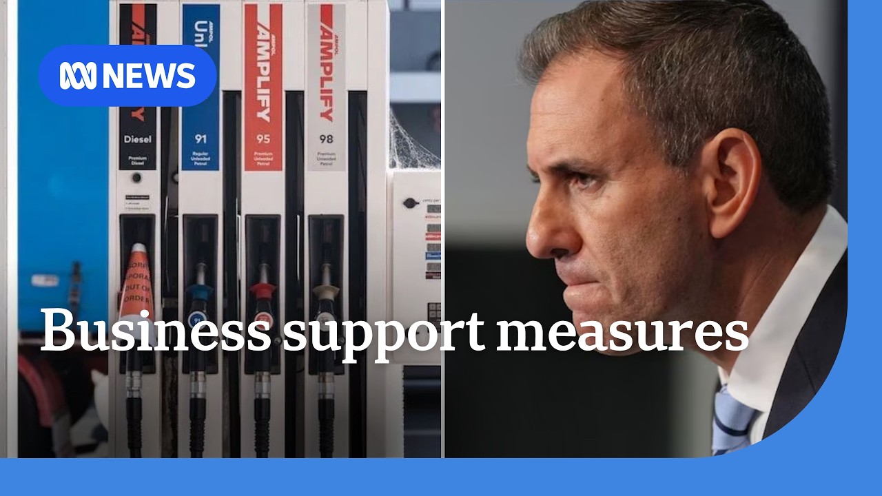 Support measures for businesses announced as fuel excise cut comes into effect | ABC NEWS