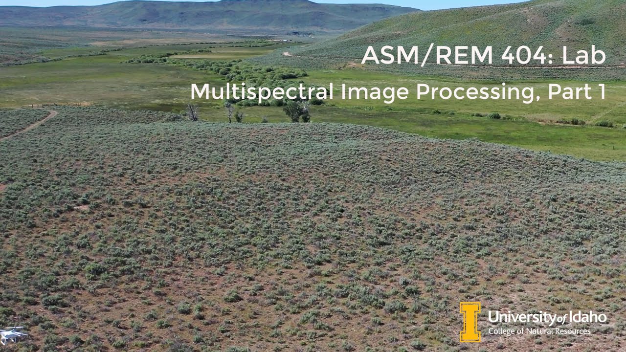 REM 475 Lab: Multispectral Image Processing, Part 1