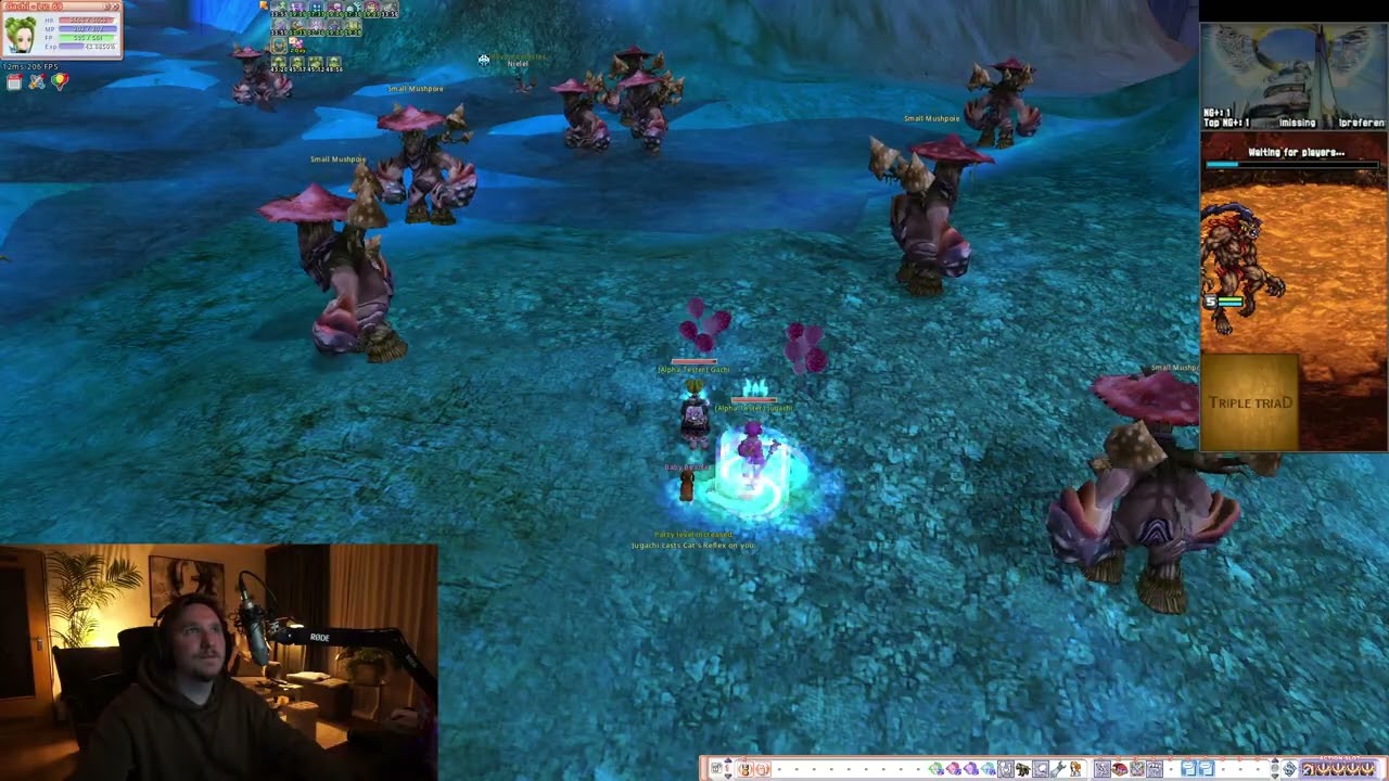 Darkon 3 is such a wonderful area- FlyFF Universe