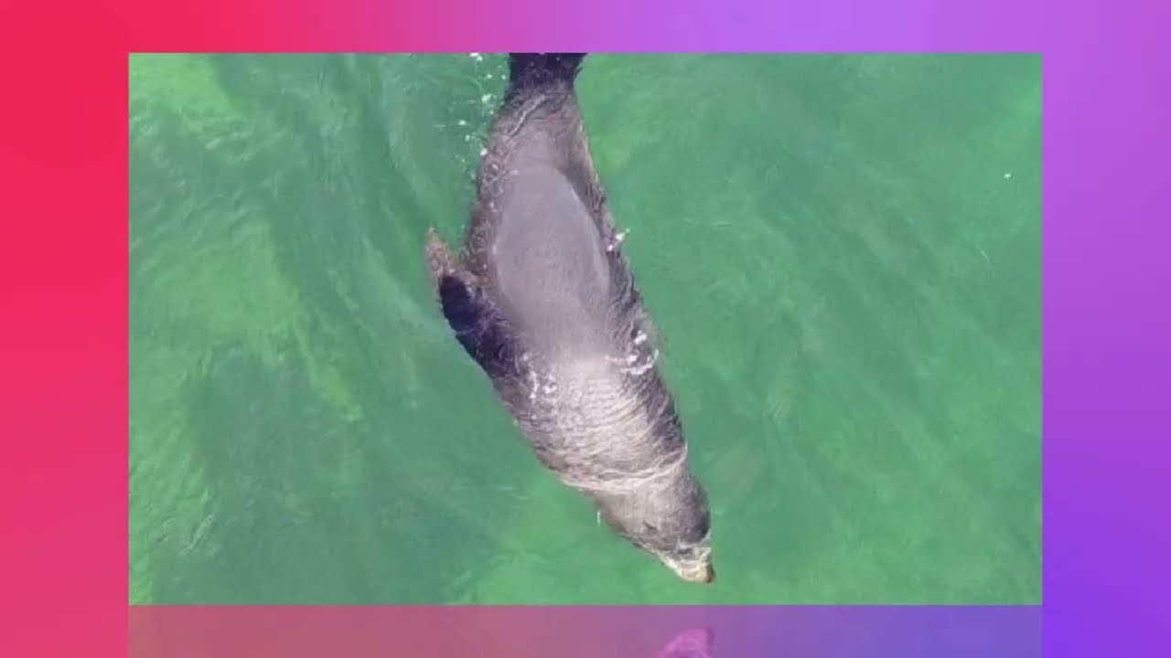 Fishing , kayaking and water fun  ,our life by the sea