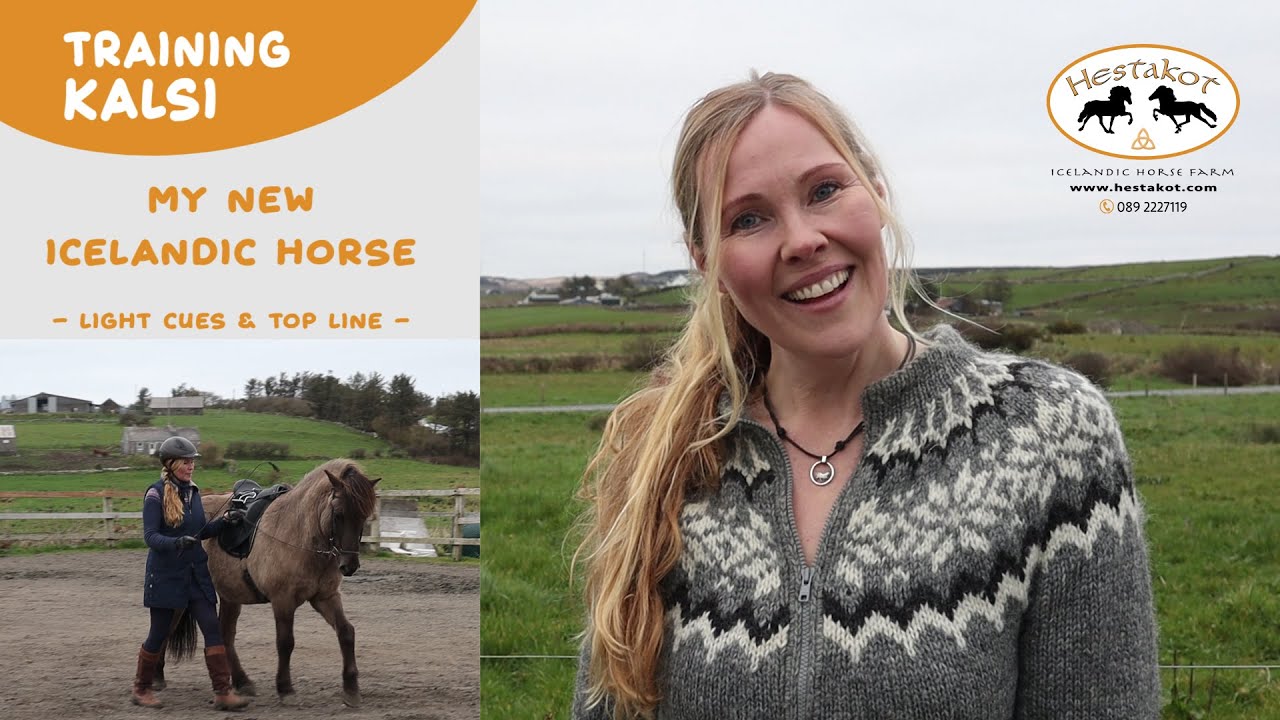 Training Kalsi - My New Icelandic Horse - Light Cues & Topline