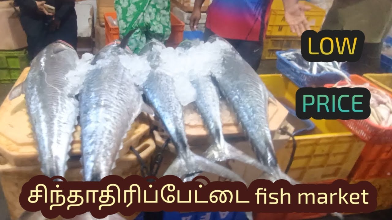 சிந்தாதிரிப்பேட்டை fish market wholesale 🦈🐠 Chennai - Boopathi views