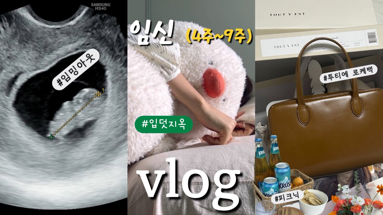 임신(4~9주)브이로그 ㅣ입덧 지옥..🤮 임산부 쉽지 않네..ㅣ 삼청동 투디에 로케백