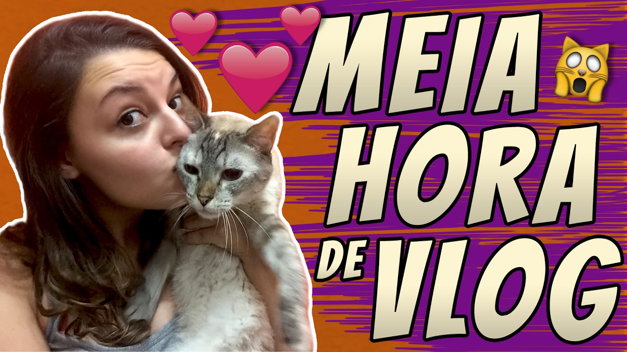 Rotina com 24 gatos, Organização e Experimentando petisco novo! | Vlog