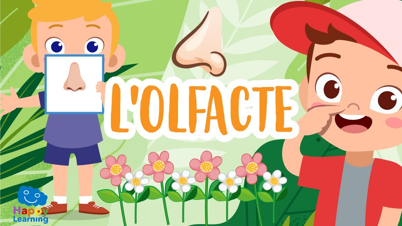 L'olfacte | Vídeos educatius per a nens en llengua catalana