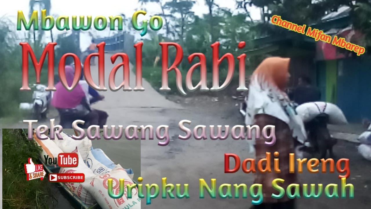Lagune Adem AKU CAH TANI (Parodi) || Mbawon Go Modal Rabi || Perahune Arep Kerem