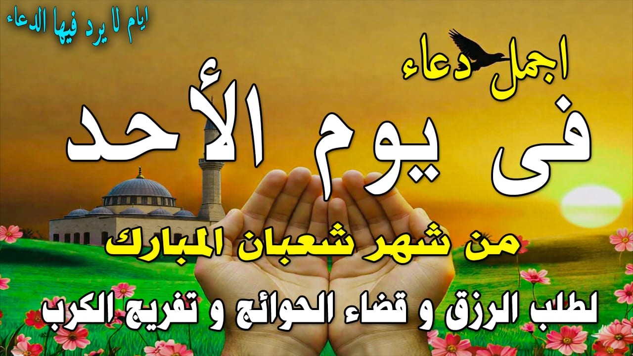دعاء فى صباح يوم الأحد 20 من شهر شعبان لطلب الرزق والفرج وقضاء الحوائج وتفريج الهم بإذن الله 💚