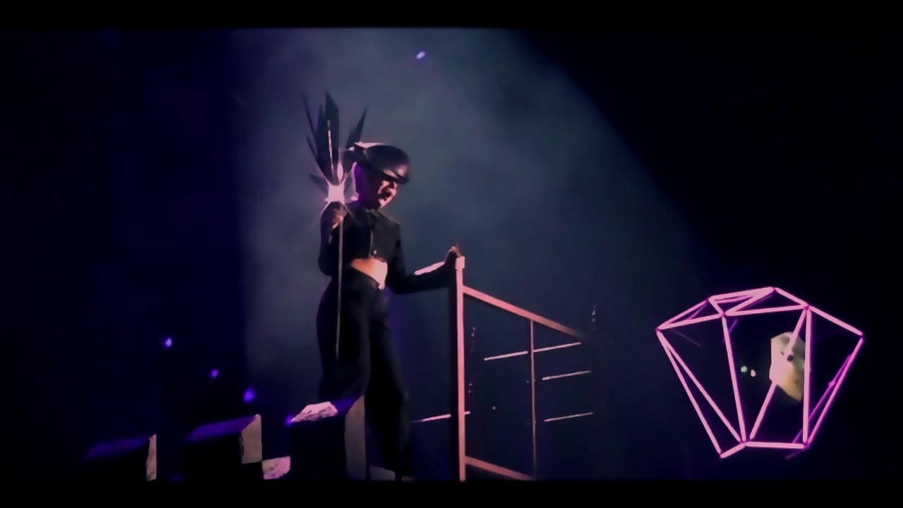 Lady Gaga - Paparazzi - Born this way ball DVD HD