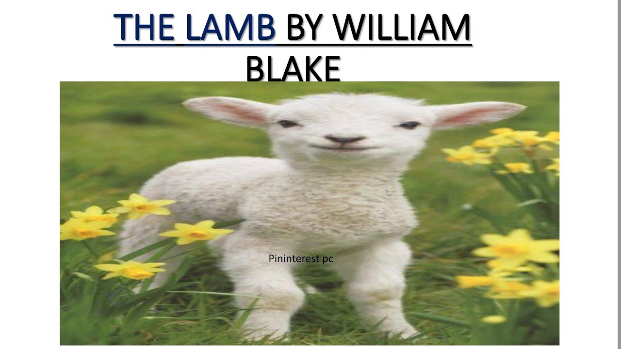 The Lamb by William Blake Explanation in English and kannada