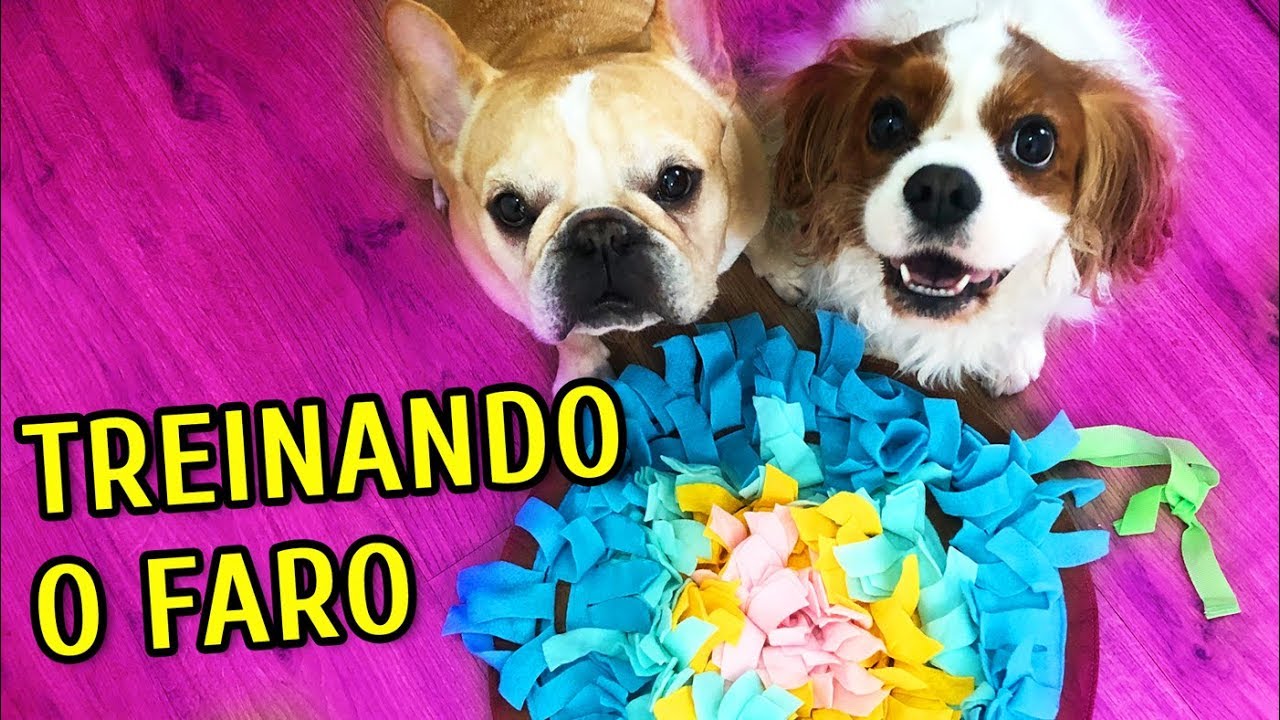 TESTANDO O TAPETE INTERATIVO!