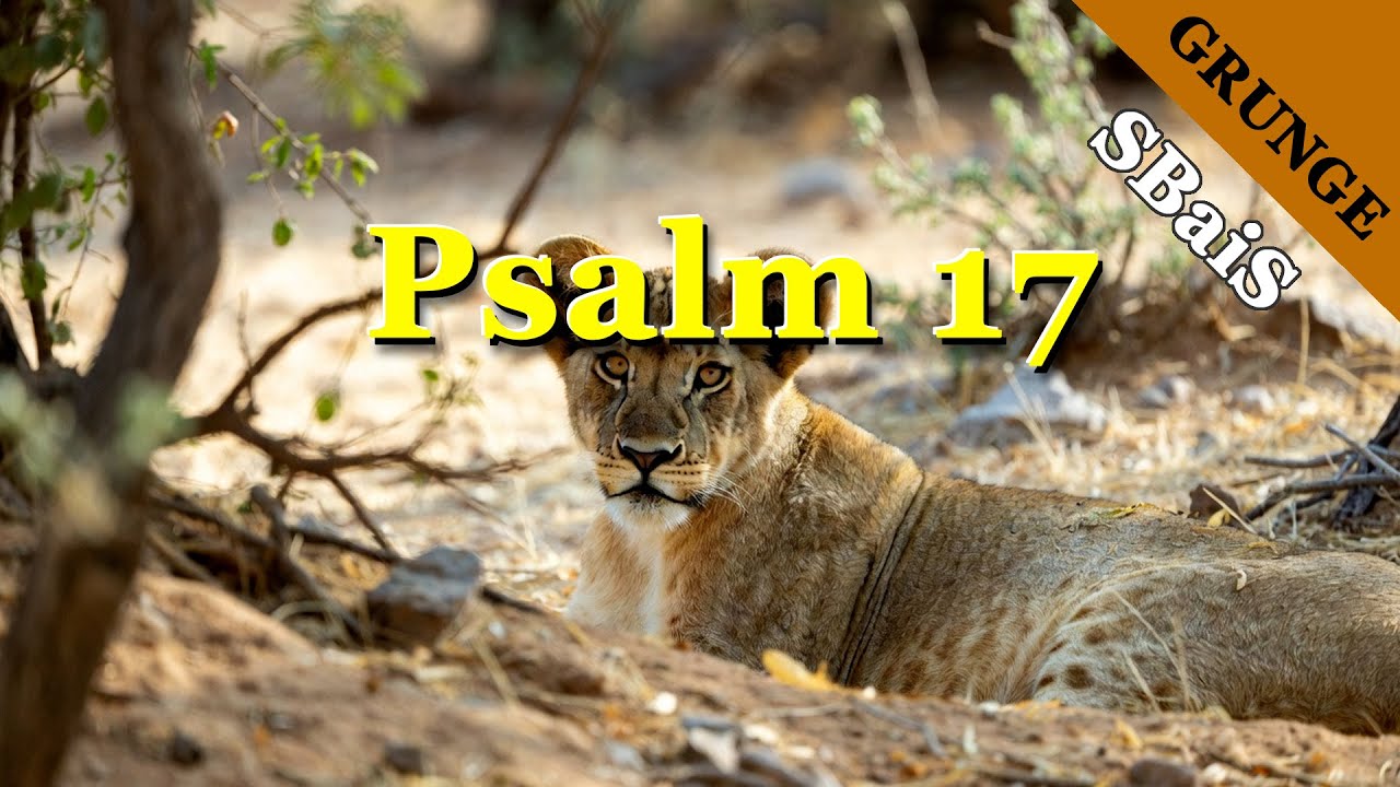 Psalm 17 as a Song - Grunge - NIV