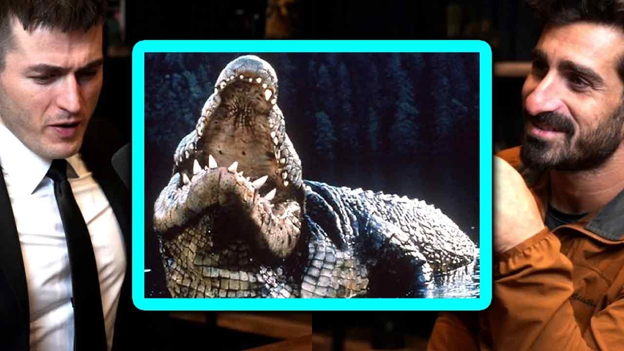 Story of being surrounded by Black caiman crocodiles | Paul Rosolie and Lex Fridman