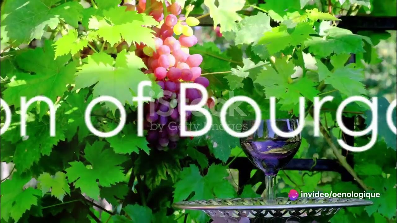 Decoding the Grand Crus of Burgundy