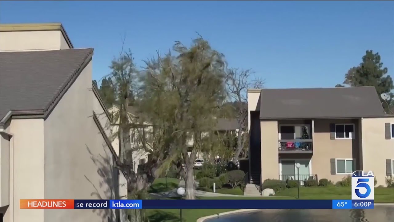 Strong winds topple trees across SoCal, another storm on the way