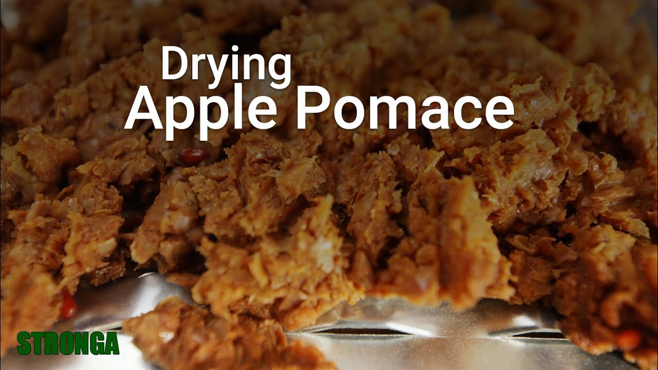 Drying Apple Pomace with Stronga