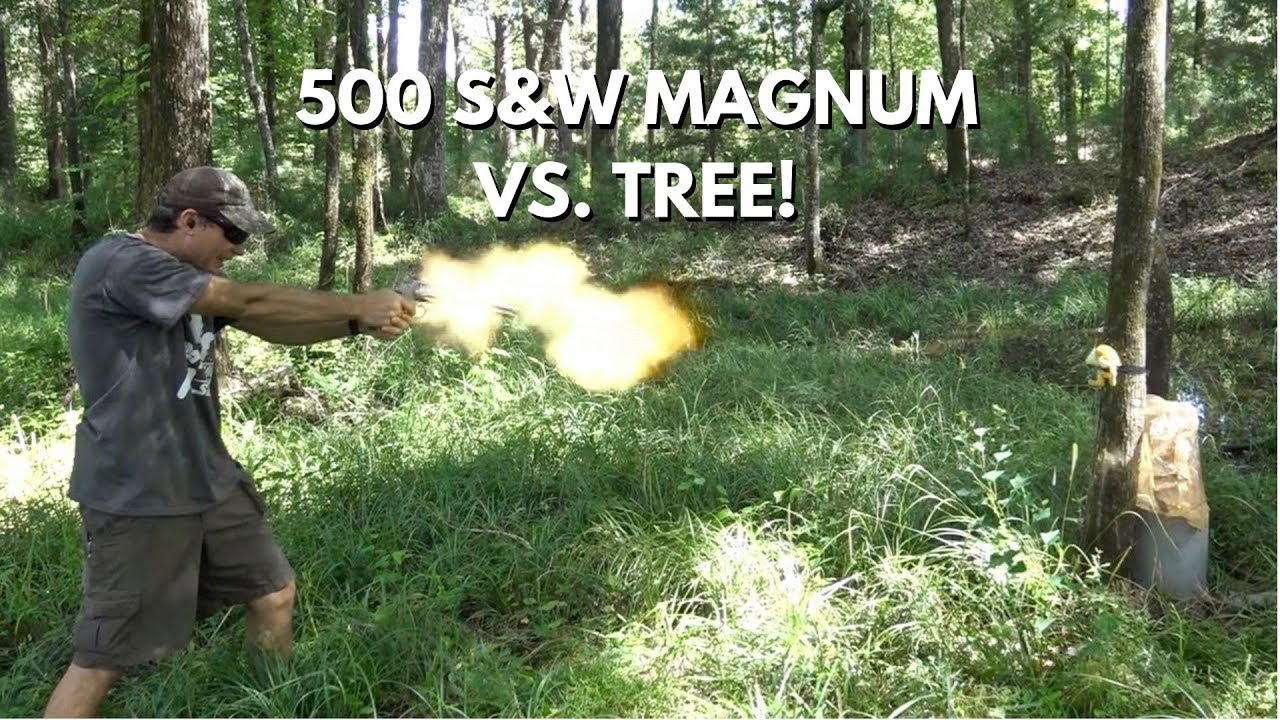 S&W 500 Magnum VS Tree!  #topshottreeservice