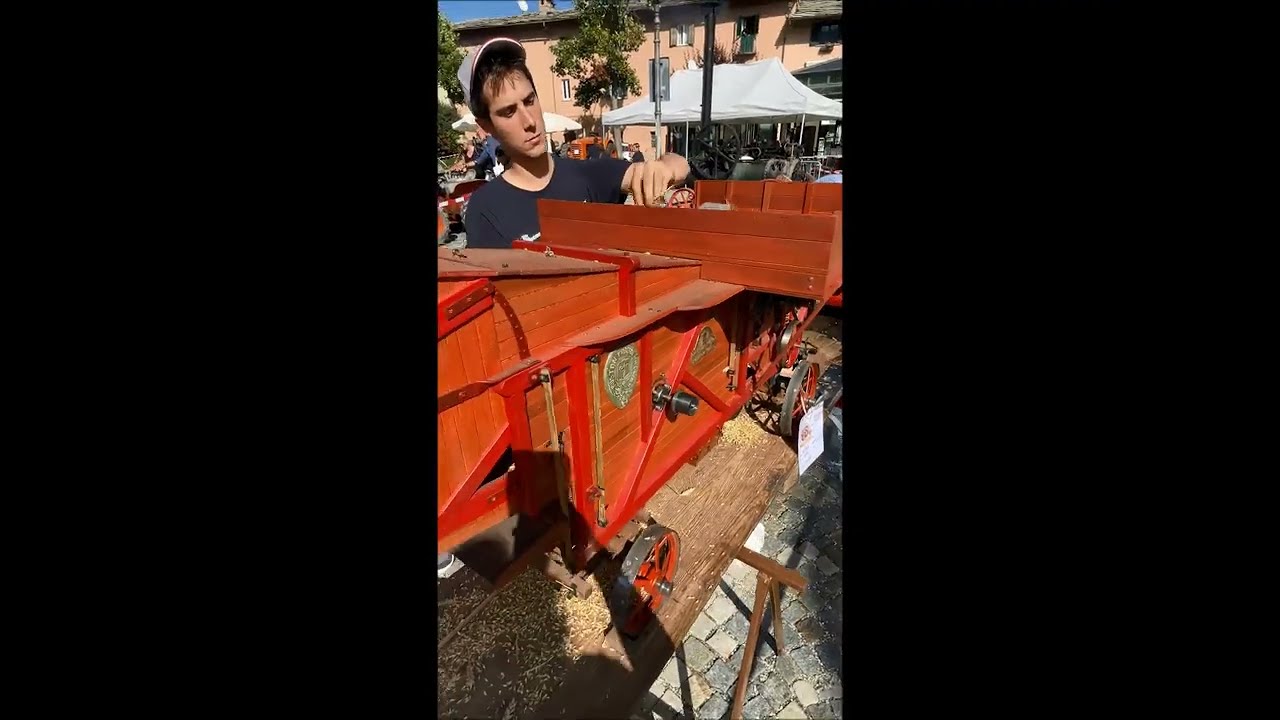 1:4 scale model-Trebbiatrice Ruston Proctor e motore a vapore Marshall-trebbiatura del grano