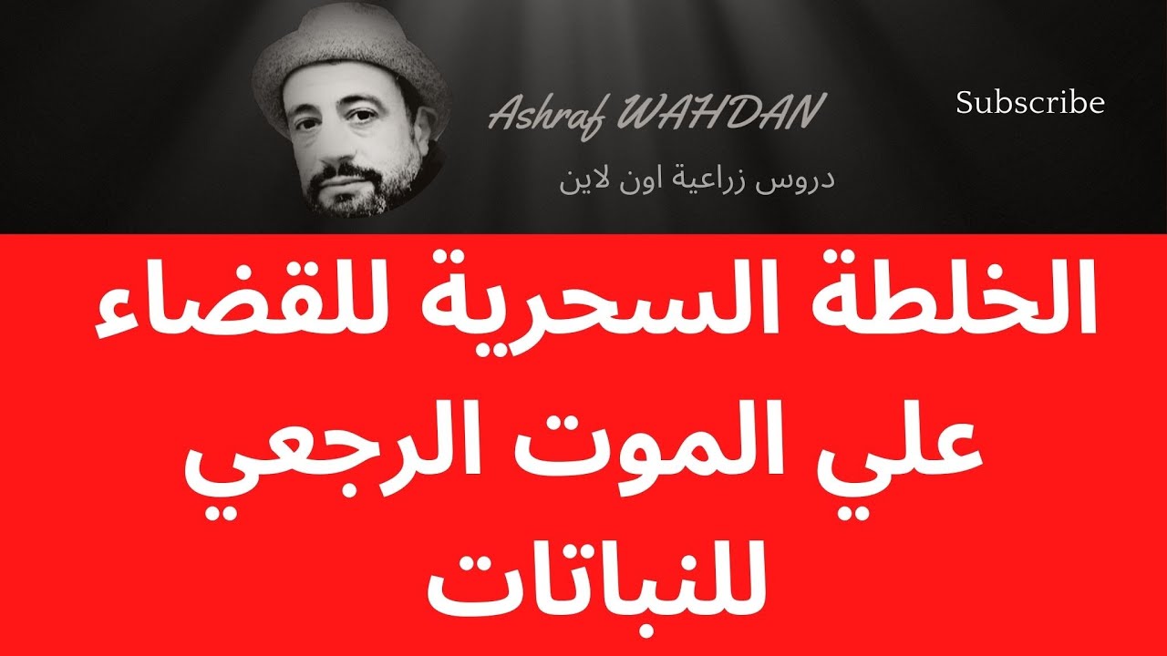 ارخص خلطة سحرية للقضاء علي مرض الموت الرجعي للنباتات والاشجار