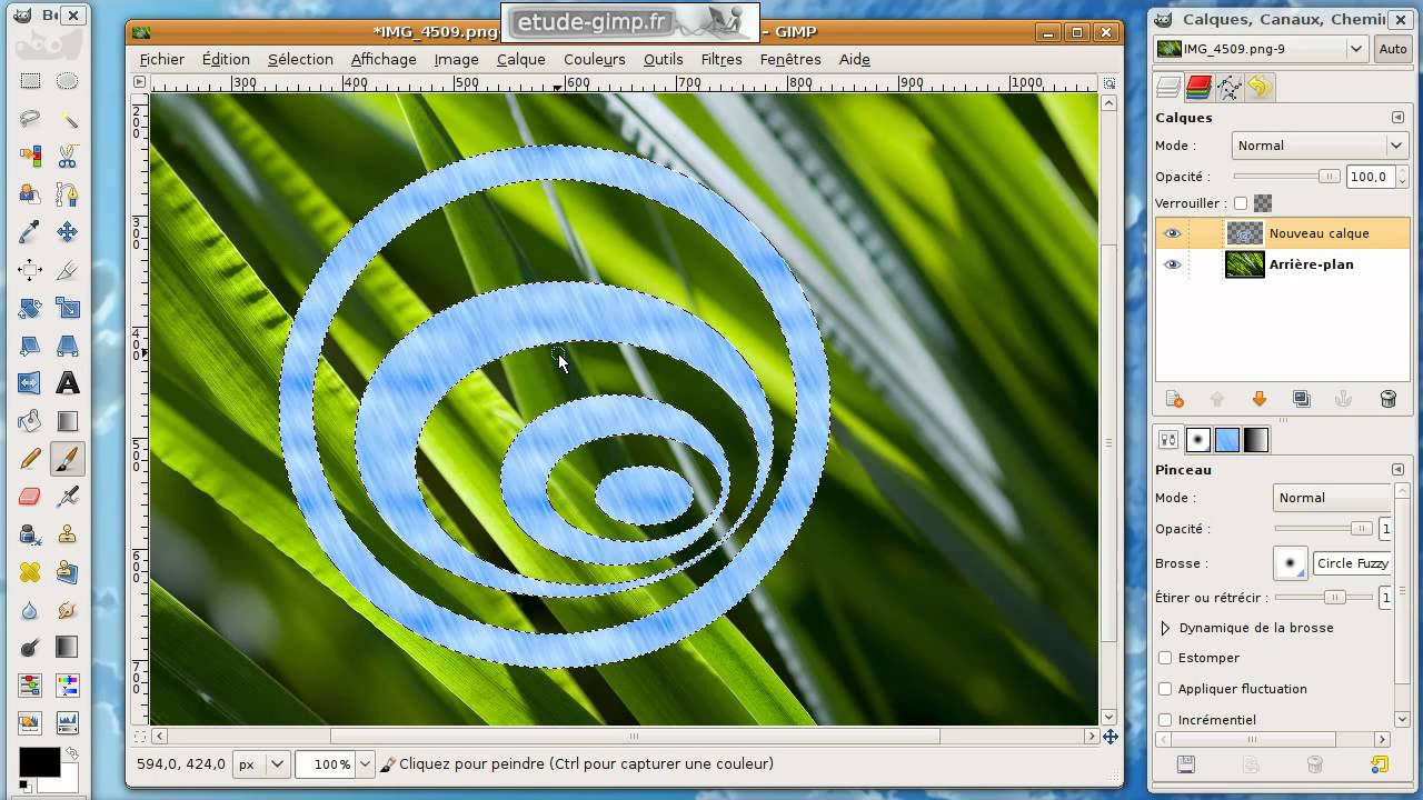 Manipuler les selections avec Gimp
