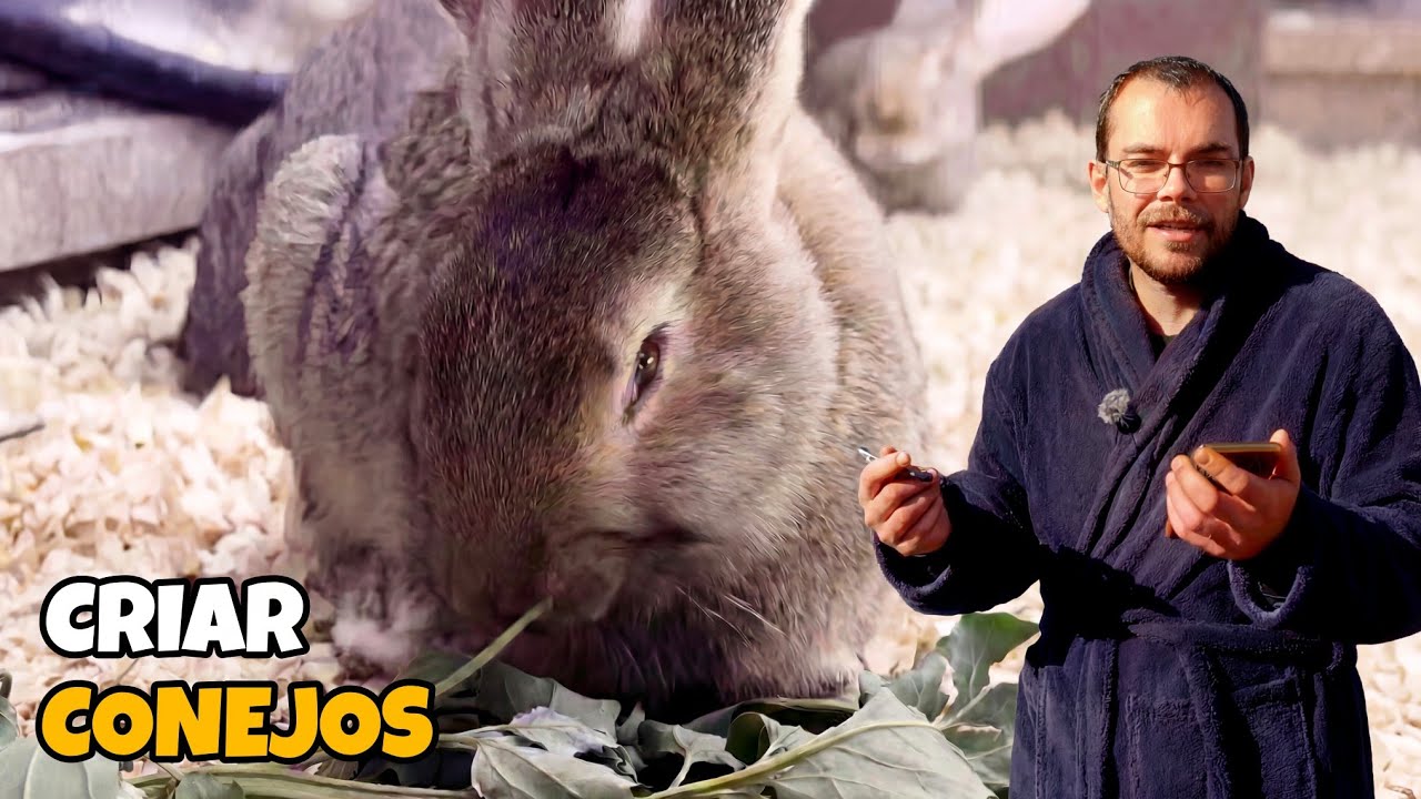 ¿Merece la pena criar conejos en casa? La Tanina nos los explica.