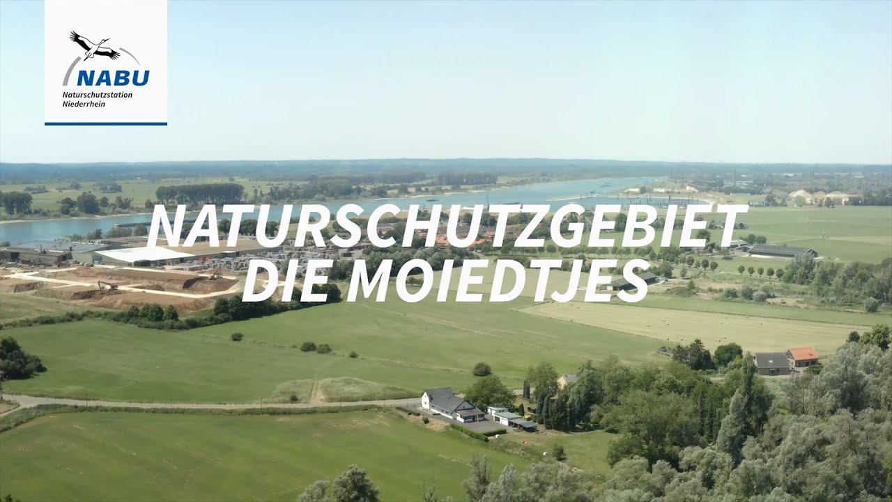 Naturschutzgebiet Die Moiedtjes