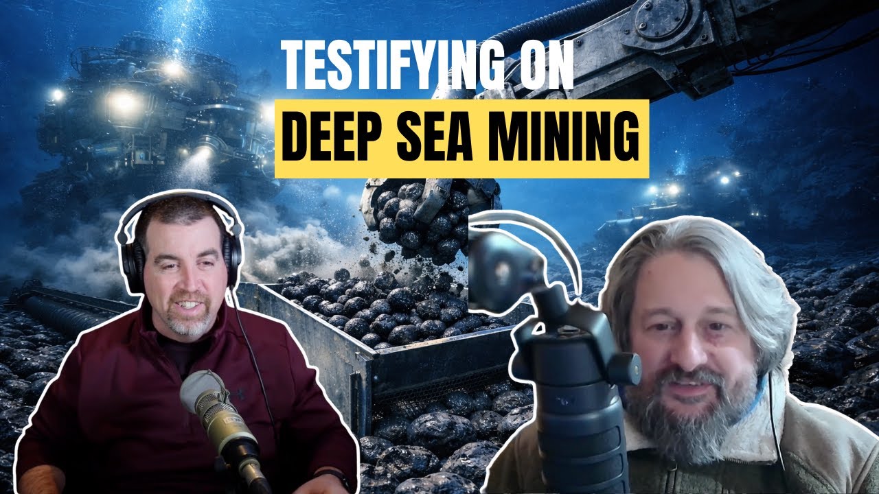 Will the US move towards Deep-Sea Mining? What’s Really at Stake for the Ocean and Our Future