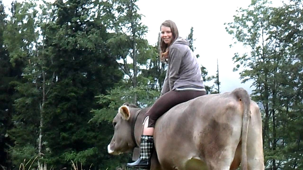 Voltigieren und Reiten auf ENZIAN