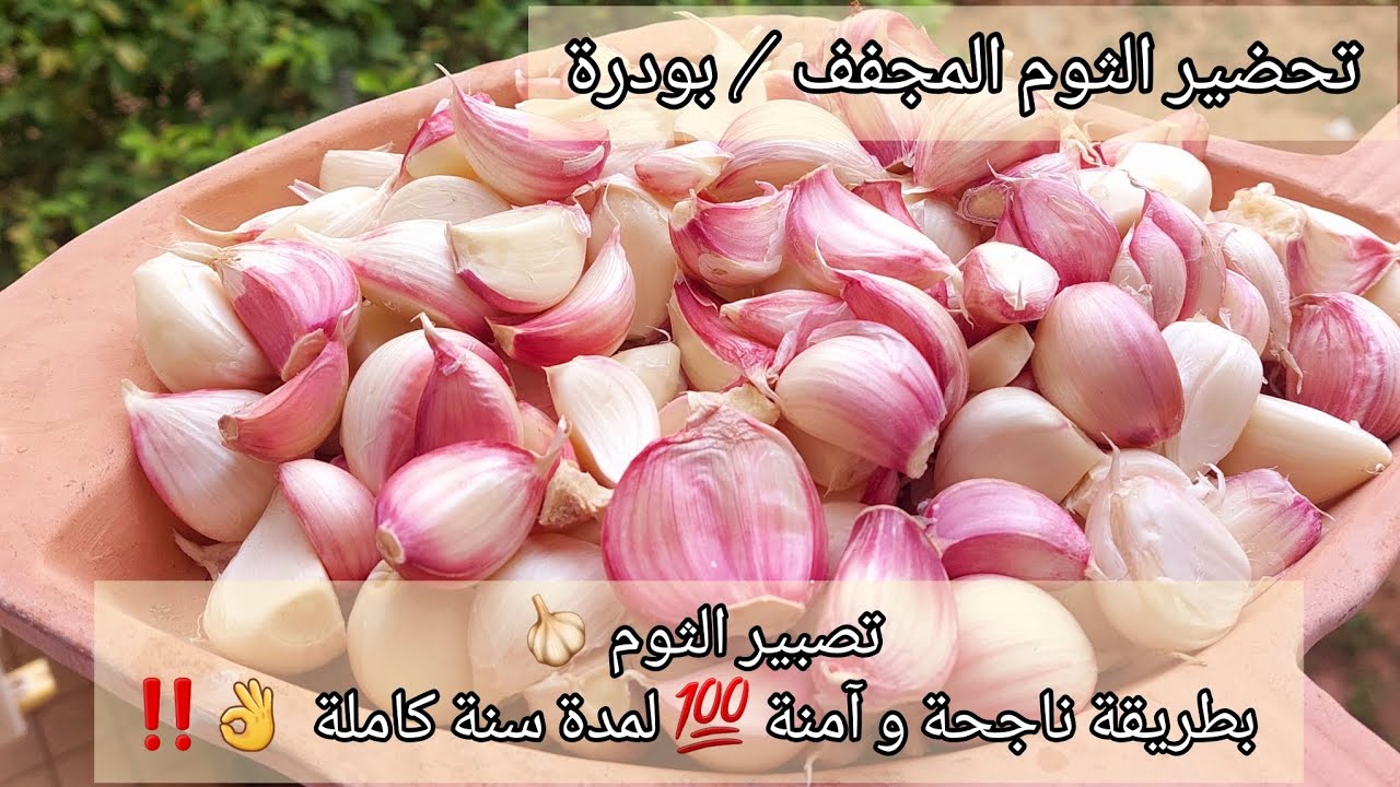 تصبير الثوم 🧄 لمدة سنة كاملة بطريقة ناجحة و آمنة مع تحضير الثوم المجفف / بودرة