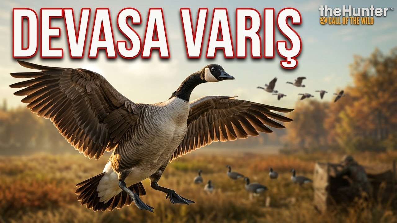 kanada kazı avı tavsiye ve taktikleri ( the hunter call of the wild türkçe )