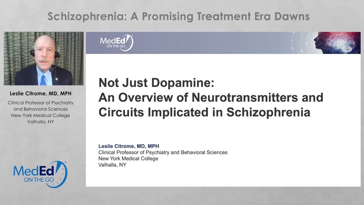 Not Just Dopamine: An Overview of Neurotransmitters and Circuits Implicated in Schizophrenia