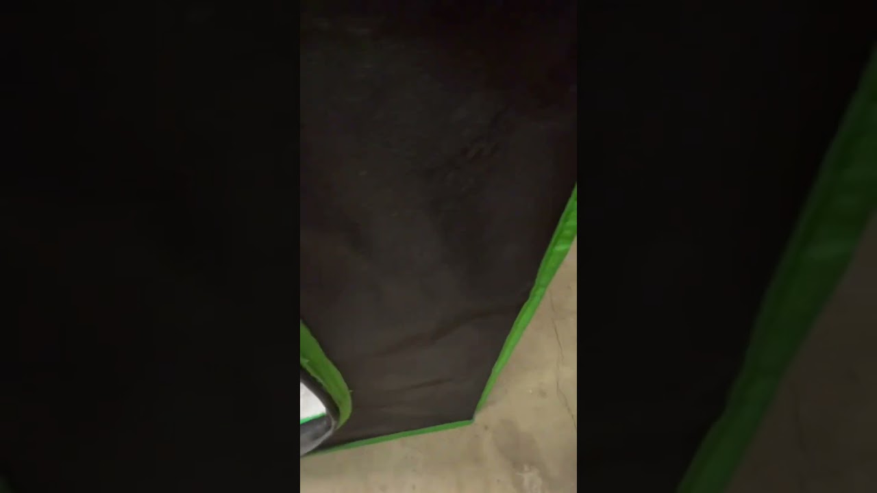 Grow tent 4x4 table with runoff pump installed.