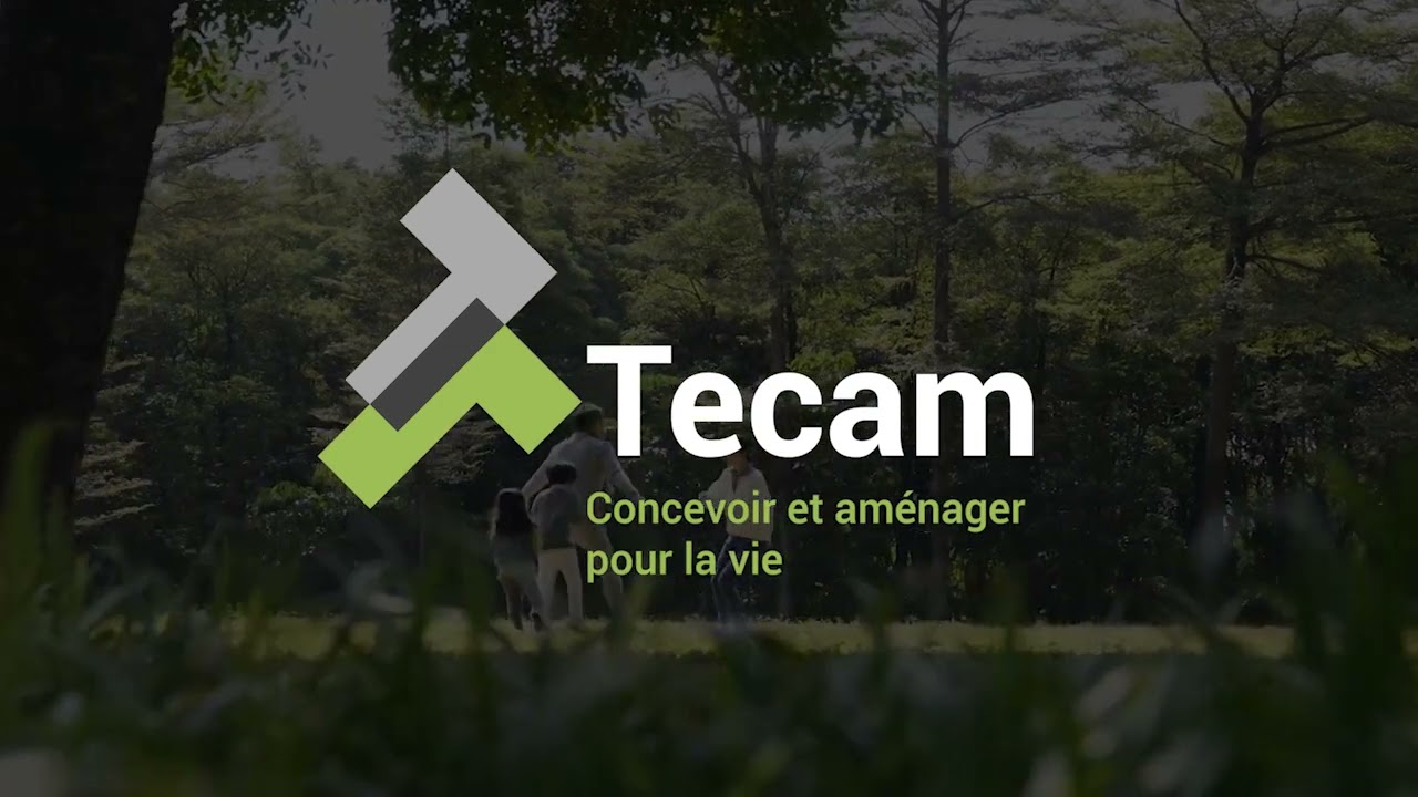 Tecam présentation de l'image de marque - identité visuelle- logo